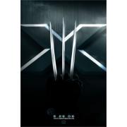 X-Men: The Last Stand (Люди Икс: Последняя битва)