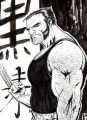 Аватар пользователя Wolverine
