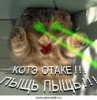 Аватар пользователя Тапыч Конышев