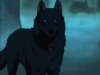 Аватар пользователя BanesWolf
