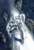 Аватар пользователя Silver Surfer