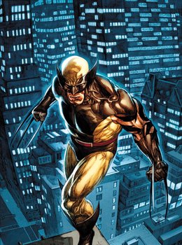 Daken (Дакен)