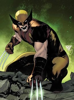 Wolverine (Росомаха)