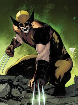 Wolverine (Росомаха)