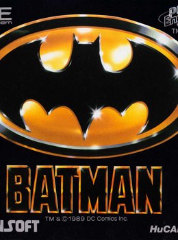 Batman: The Video Game