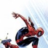 Аватар пользователя spider-pool